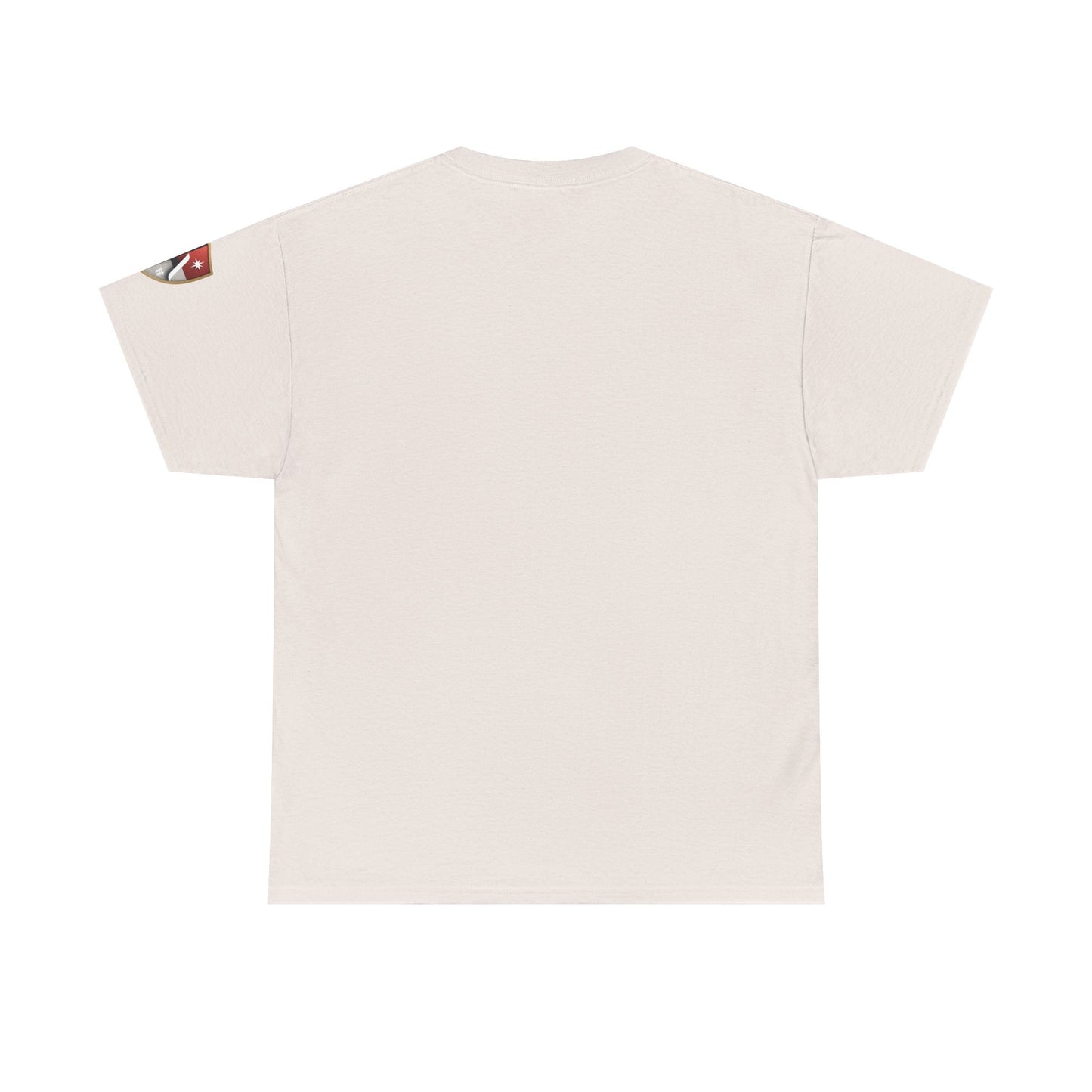 God's Plan Motivational Unisex Tee